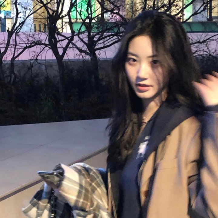 驶向达尔文