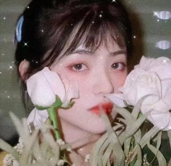 销售奇姬